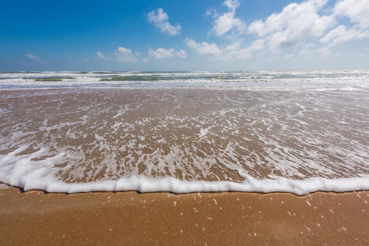 Sand Dollar Condominiums Daytona Beach Shores Екстериор снимка